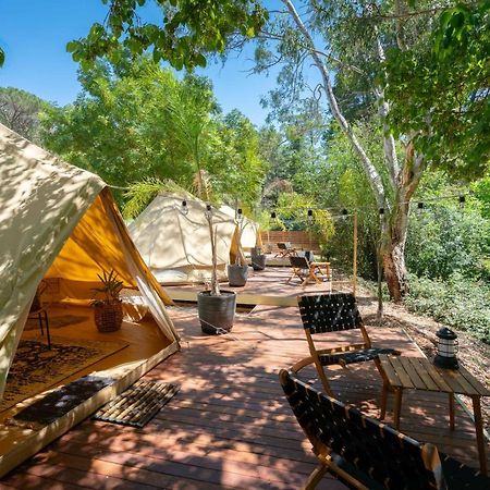 Castlemaine Gardens Luxury Glamping Hotel Bagian luar foto